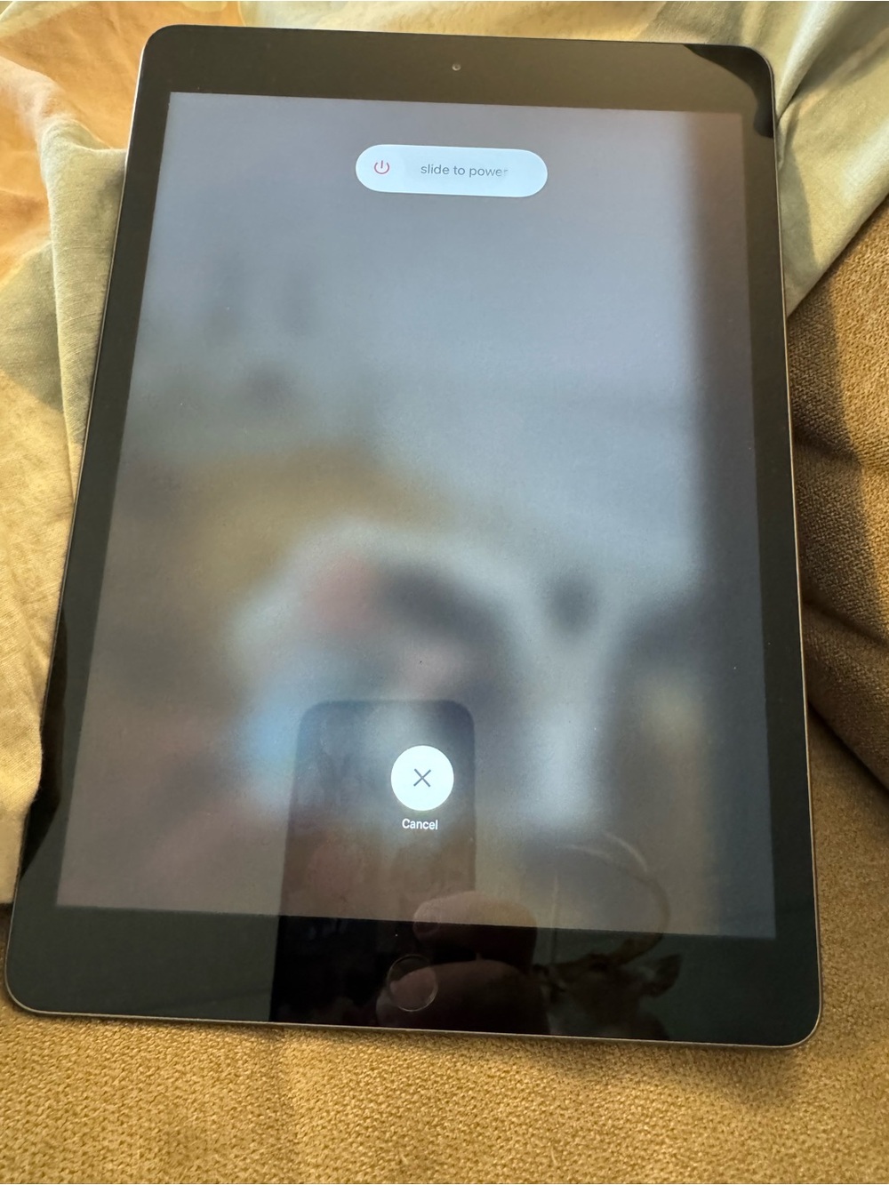 Apple iPad 10.2 in 8th Generation